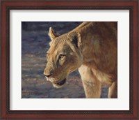 Framed Lioness South Luangwa