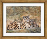 Framed Snow Leopards Circles