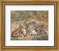 Framed Snow Leopards Circles