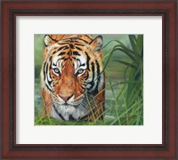 Framed Tiger Grass