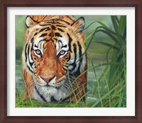 Framed Tiger Grass