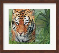 Framed Tiger Grass