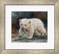 Framed Polar Bear