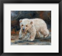 Framed Polar Bear