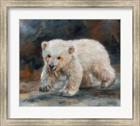 Framed Polar Bear