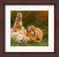 Framed Lion Cub 1012