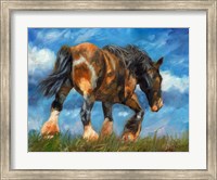 Framed Shire Horse End Of The Day