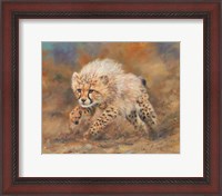 Framed Cheetah Dust Final