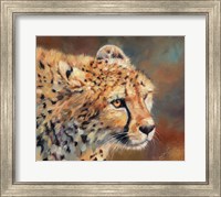 Framed Cheetah Stare