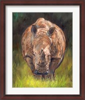Framed Rhino Straight On