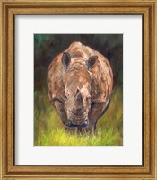 Framed Rhino Straight On