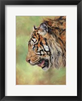 Framed Amur Tiger Profile