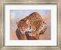 Framed Jaguar On Tree Stump