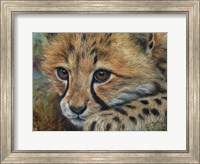 Framed Cheetah Cub Close
