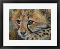 Framed Cheetah Cub Close