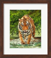 Framed Tiger On The Prowl