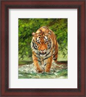 Framed Tiger On The Prowl