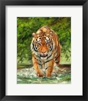 Framed Tiger On The Prowl