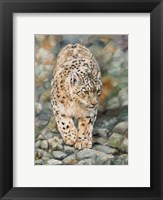 Framed Snow Leopard Stroll