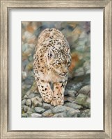 Framed Snow Leopard Stroll