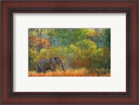 Framed Elephant Trees