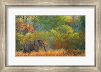 Framed Elephant Trees