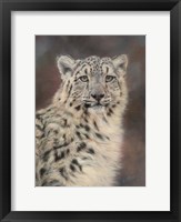 Framed Snow Leopard