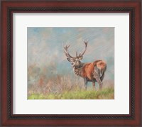Framed Red Deer Stag From Behind