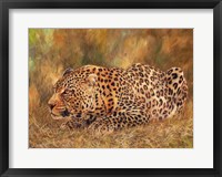 Framed Leopard About To Pounce