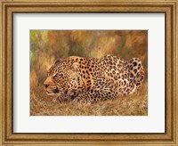 Framed Leopard About To Pounce