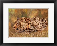 Framed Leopard About To Pounce