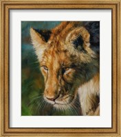 Framed Lioness Return