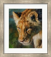 Framed Lioness Return