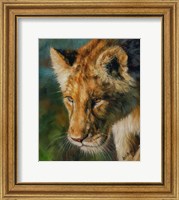 Framed Lioness Return