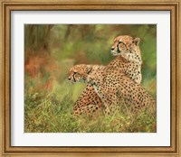 Framed Cheetah Siblings