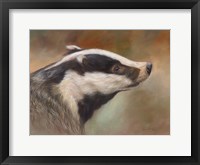 Framed Badger Study