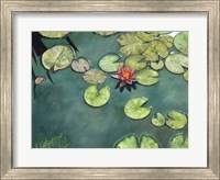 Framed Lilies