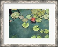 Framed Lilies