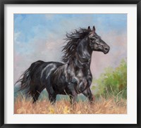 Framed Black Horse