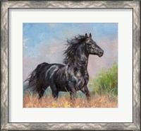 Framed Black Horse