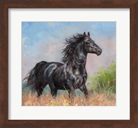 Framed Black Horse