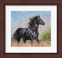 Framed Black Horse