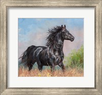 Framed Black Horse