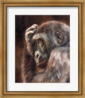 Framed Gorilla Contemplating
