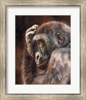 Framed Gorilla Contemplating
