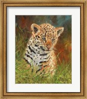 Framed Jaguar Cub