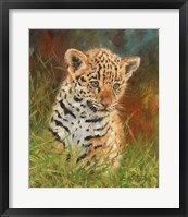 Framed Jaguar Cub