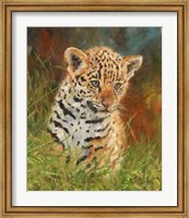 Framed Jaguar Cub