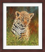 Framed Jaguar Cub