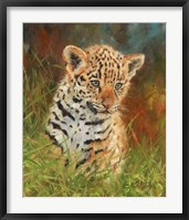 Framed Jaguar Cub